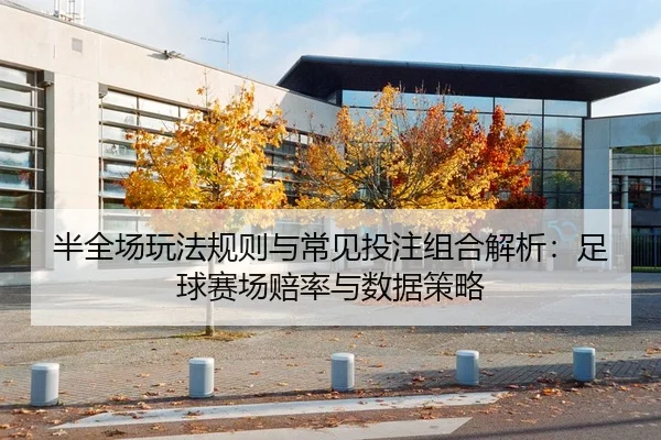 ban-quan-chang-wan-fa-gui-ze-yu-chang-jian-tou-zhu-zu-he-jie-xi-zu-qiu-sai-chang-pei-lv-yu-shu-ju-ce-lve-2-670.jpg